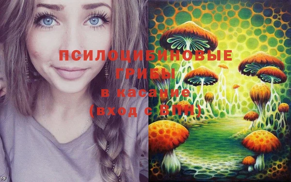 PSILOCYBIN Елизово